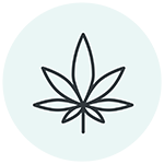 Icône