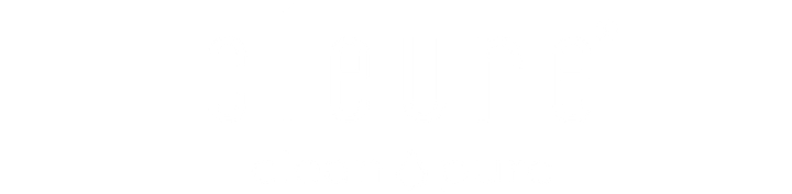 cleure logo