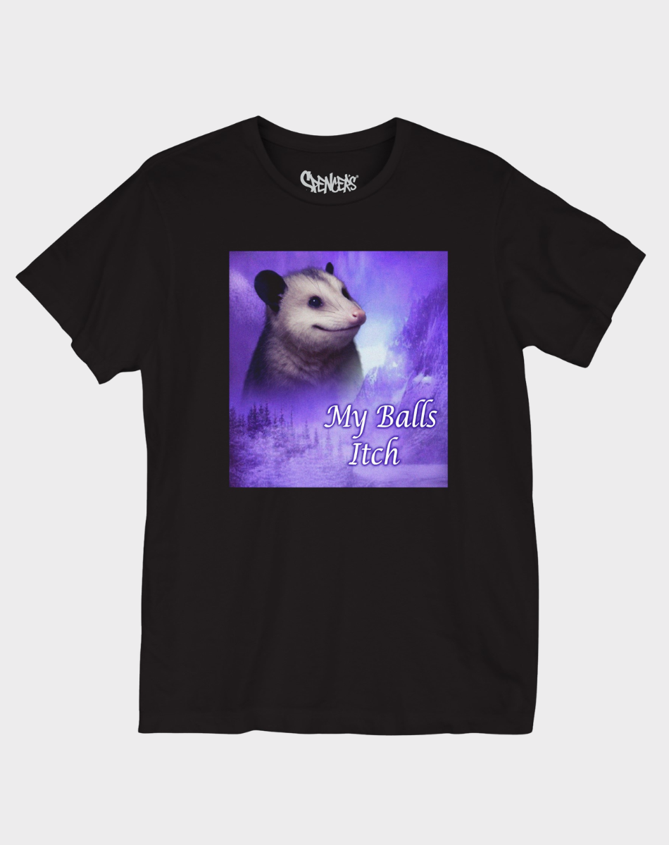 My Balls Itch Possum T Shirt