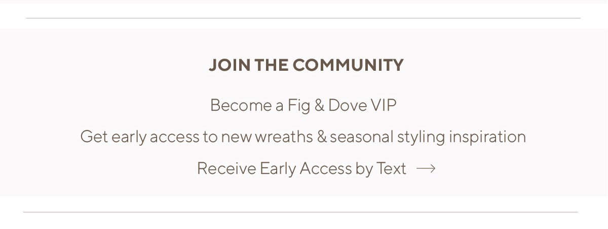 Sign Up for VIP Early Access Text