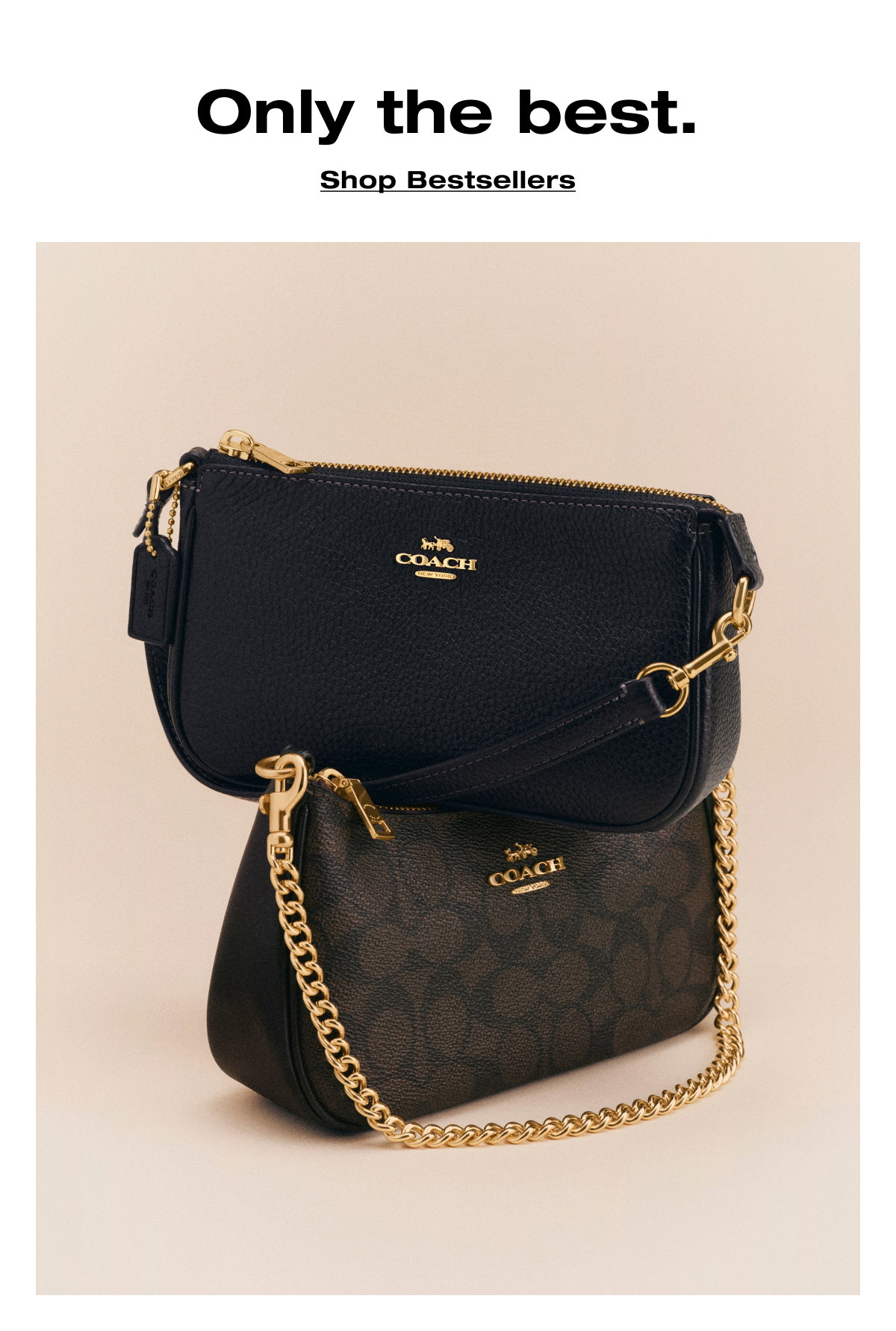 Only the best. Shop Bestsellers