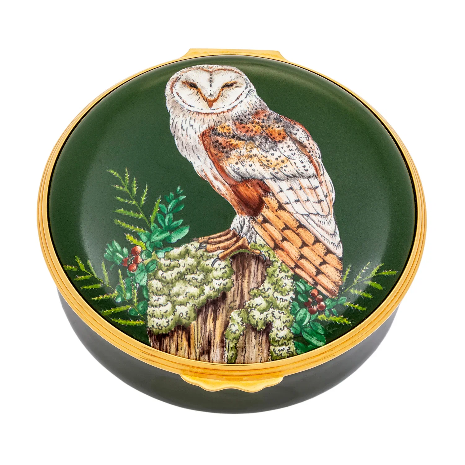 Image of Woodland Wildlife Owl - Enamel Box