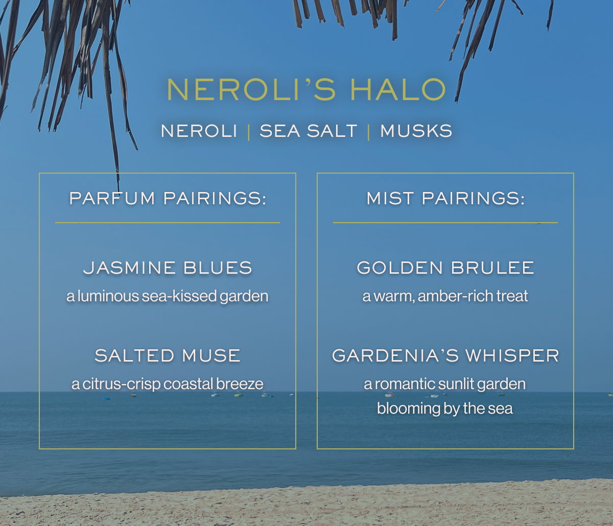 NEROLI’S HALO NEROLI | SEA SALT | MUSKS PARFUM PAIRINGS: MIST PAIRINGS: JASMINE BLUES GOLDEN BRULEE a luminous sea-kissed garden a warm, amber-rich treat SALTED MUSE GARDENIA’S WHISPER a citrus-crisp coastal breeze a romantic sunlit garden blooming by the sea