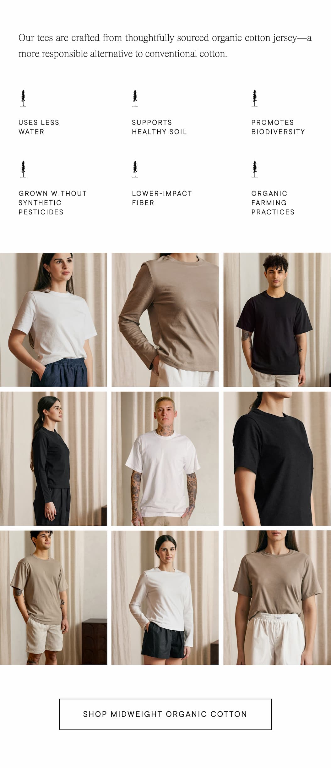 Shop Ecologyst Midweight Organic Cotton Tees