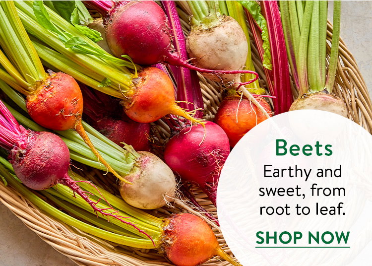 Beet Seeds