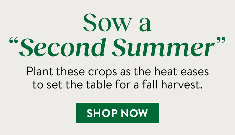 Fall Harvest Vegetable Seeds and Plants