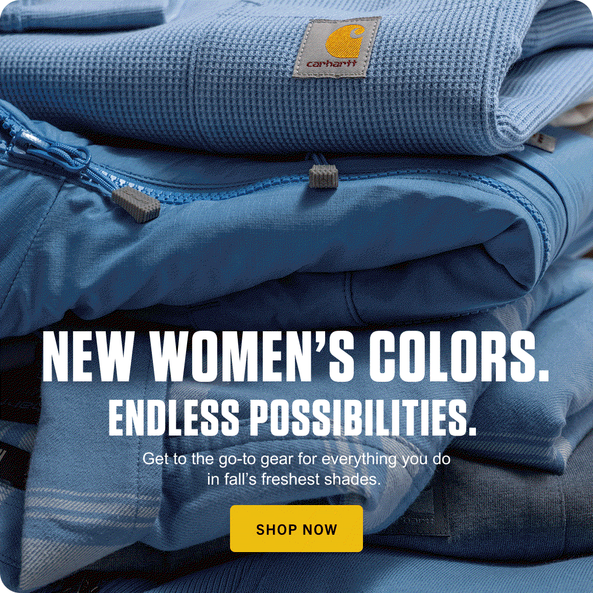 Shop New Women’s Colors