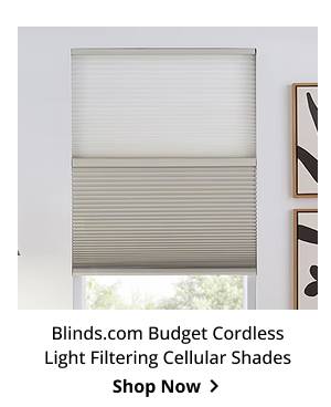 Blinds.com Budget Cordless Light Filtering Cellular Shades | Shop Now >