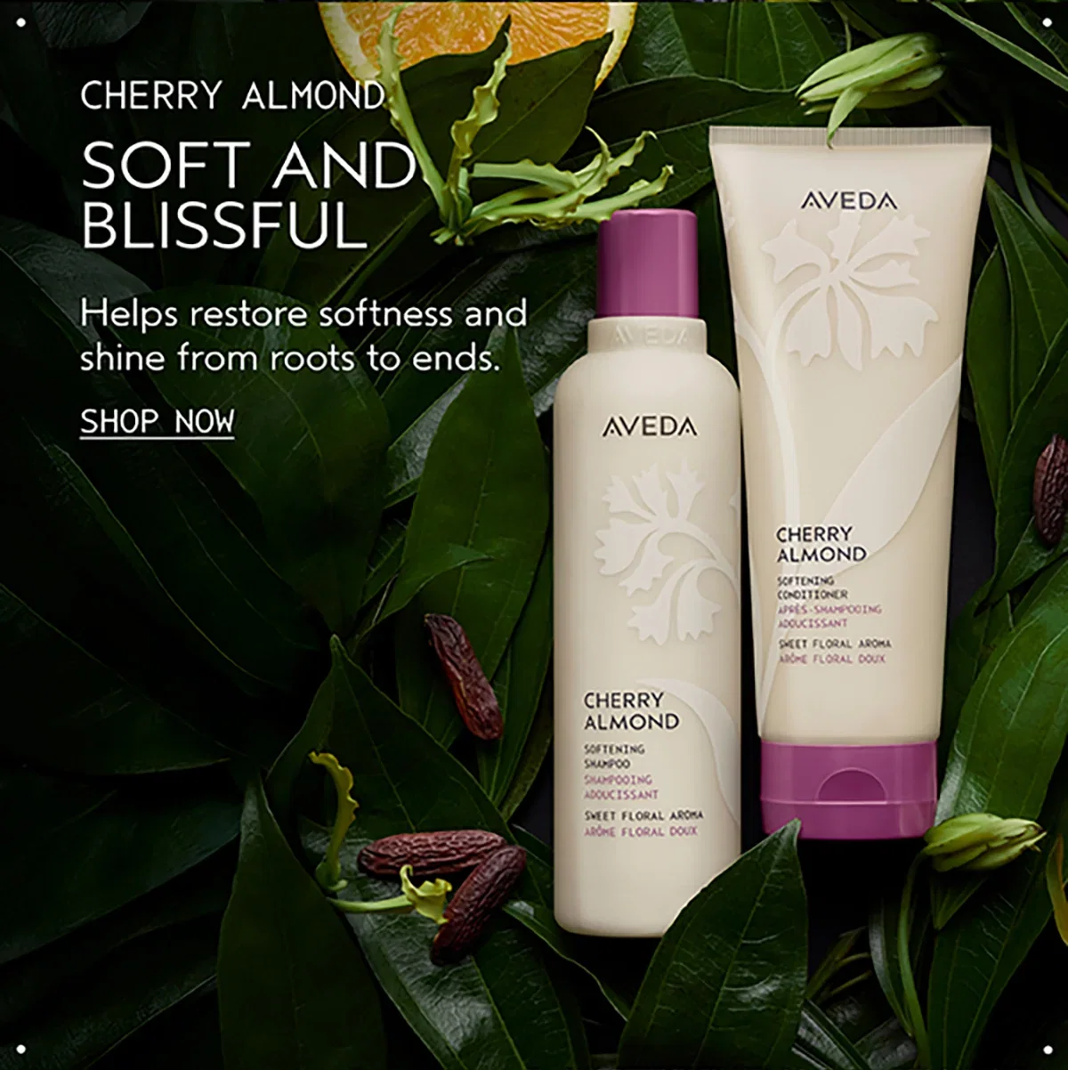 CHERRY ALMOND | SOFT AND BLISSFUL | Helps restore softness and shine from roots to ends. | SHOP NOW