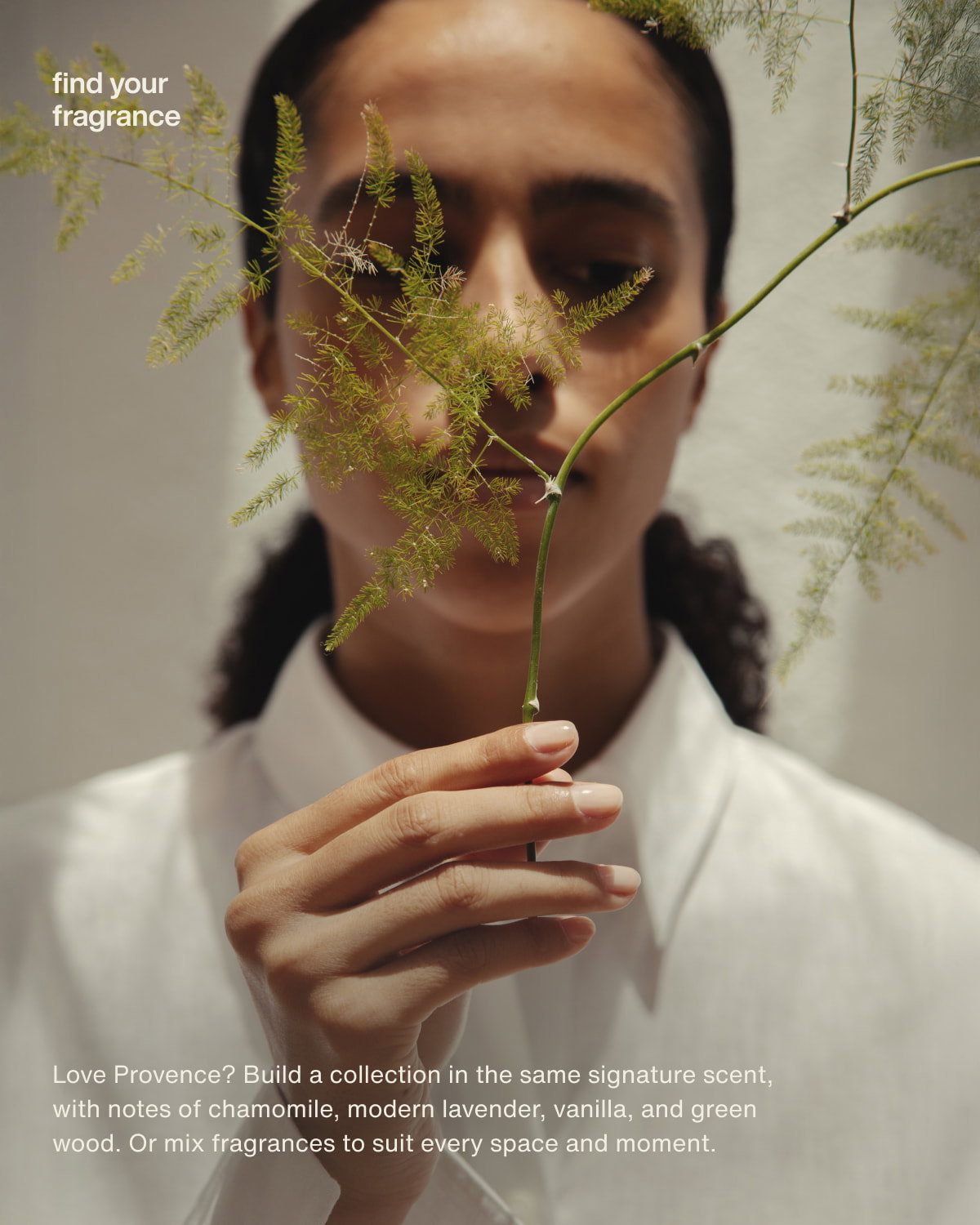find your fragrance | Love Provence? Build a collection in the same signature scent, with notes of chamomile, modern lavender, vanilla, and green wood. Or mix fragrances to suit every space and moment.