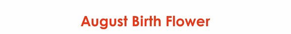 August Birth Flower