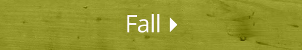 Shop Fall Décor
