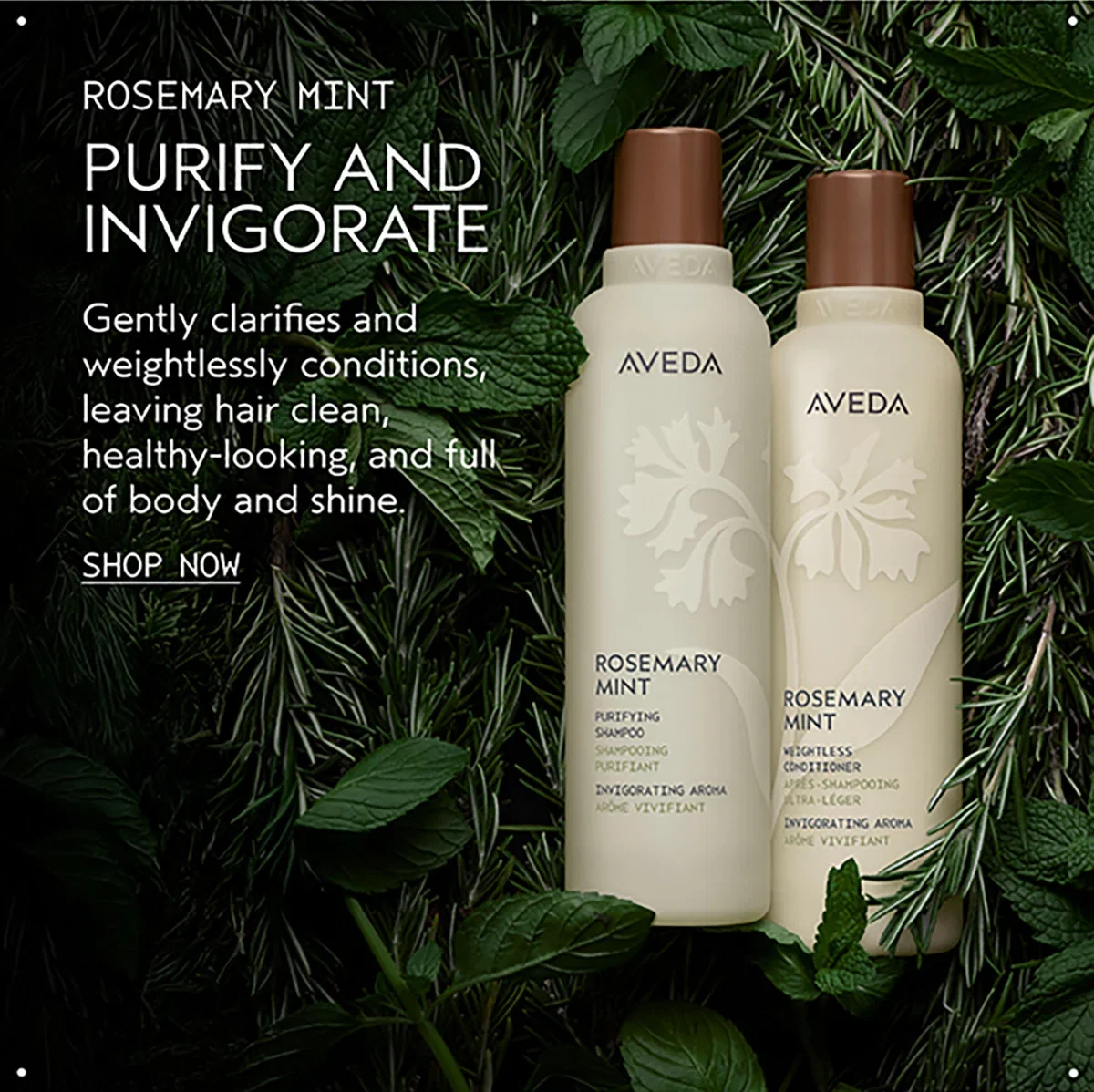 ROSEMARY MINT | PURIFY AND INVIGORATE | Gently clarifies and weightlessly conditions, leaving hair clean, healthy-looking, and full of body and shine. | SHOP NOW