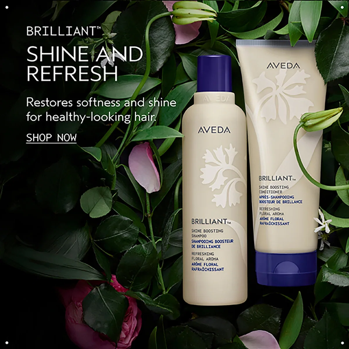 BRILLIANT™ | SHINE AND REFRESH | Restores softness and shine for healthy-looking hair. | SHOP NOW
