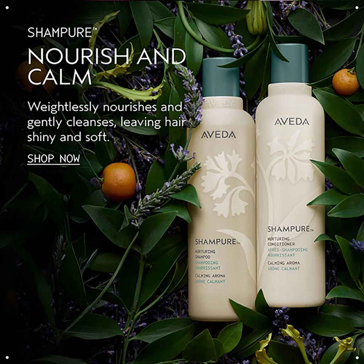 SHAMPURE™ | NOURISH AND CALM | Weightlessly nourishes and gently cleanses, leaving hair shiny and soft. | SHOP NOW