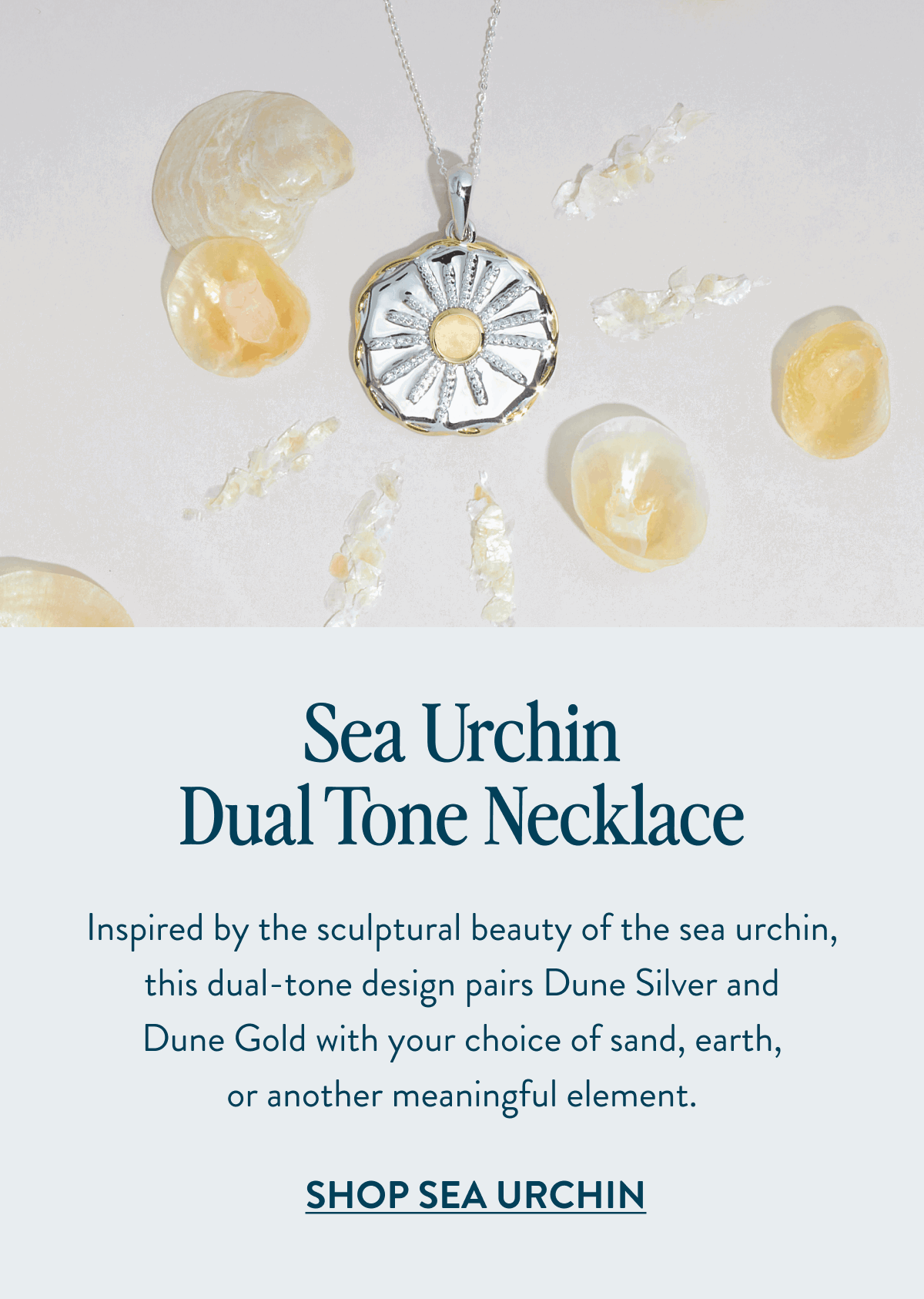 Sea Urchin