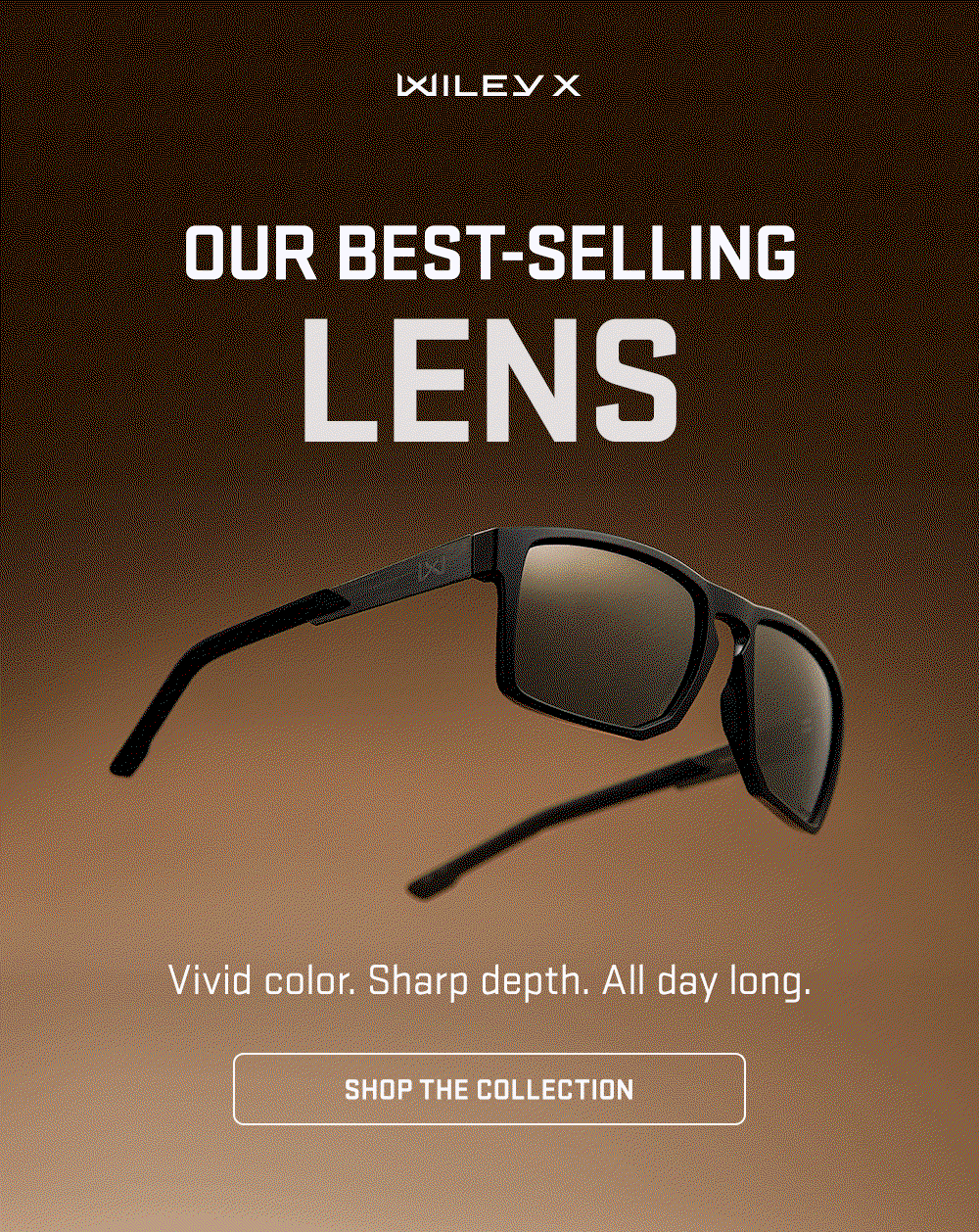 SHOP THE COLLECTION