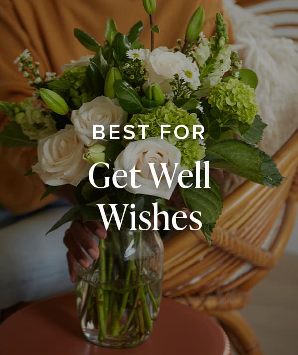 Best For Get Well Wishes