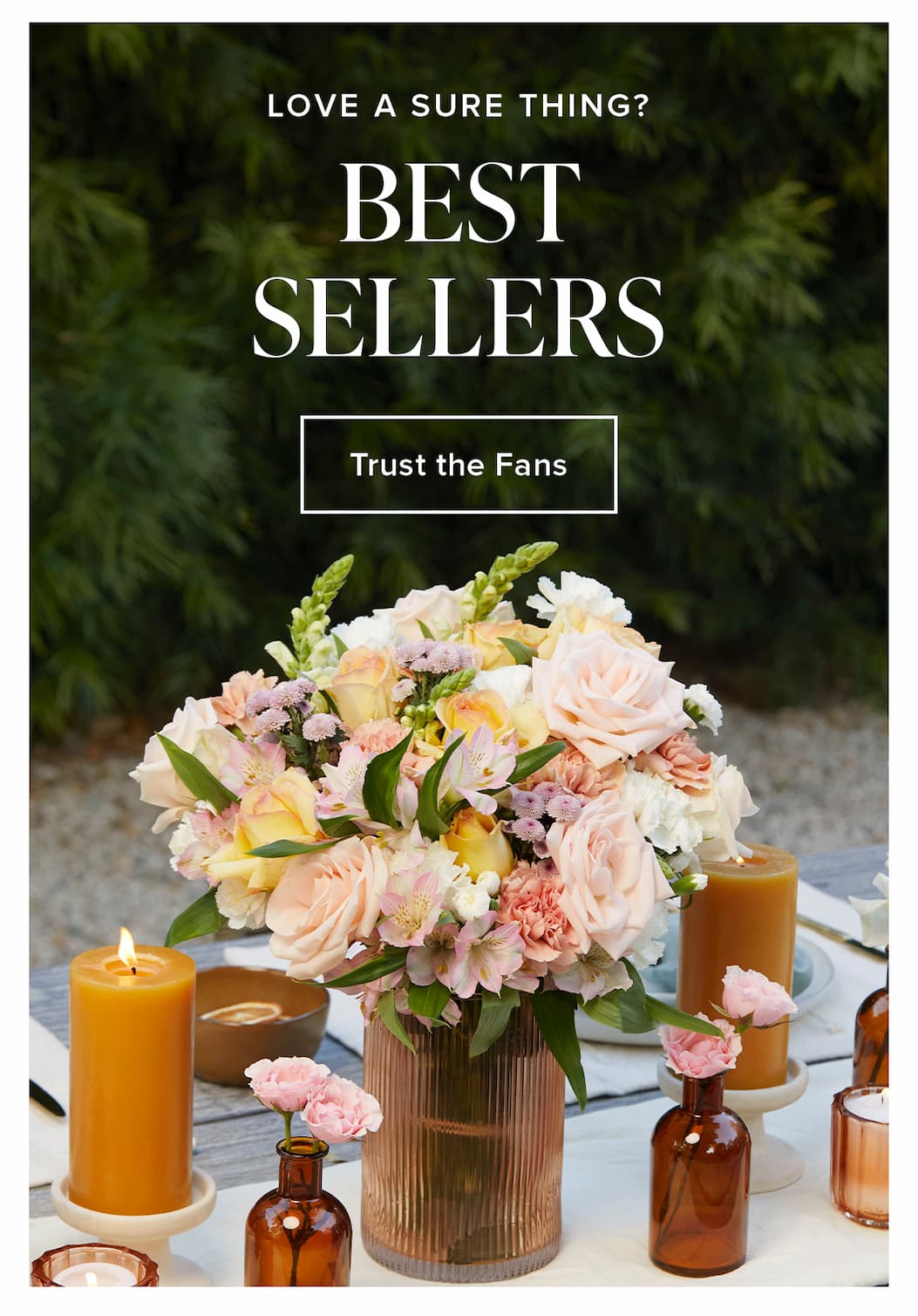 Love a sure thing? Best Sellers. Trust the Fans