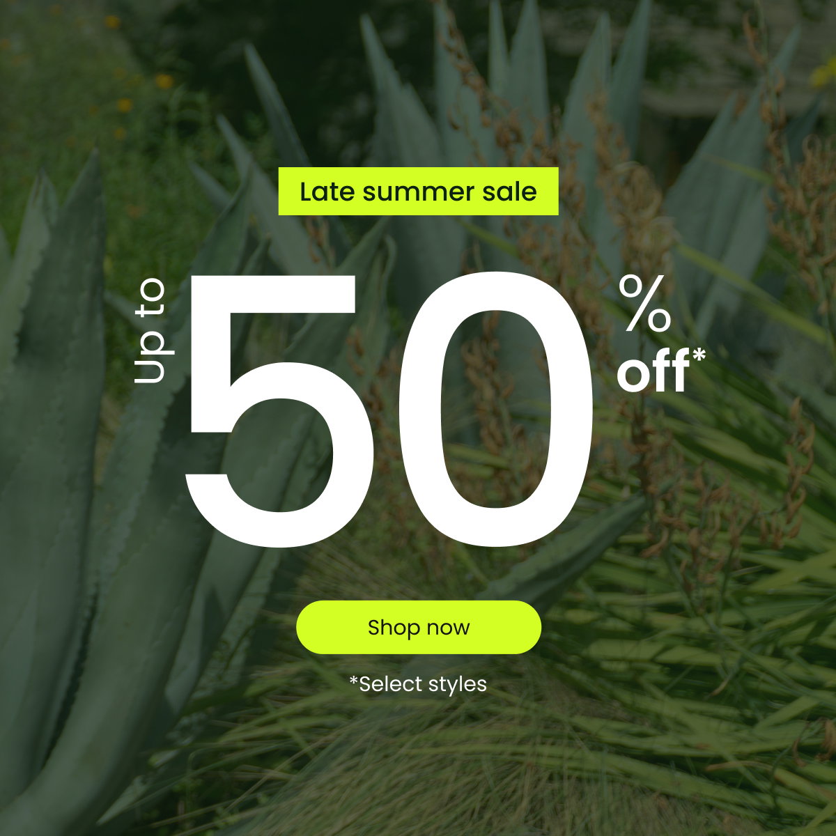 [ SHOP NOW ]