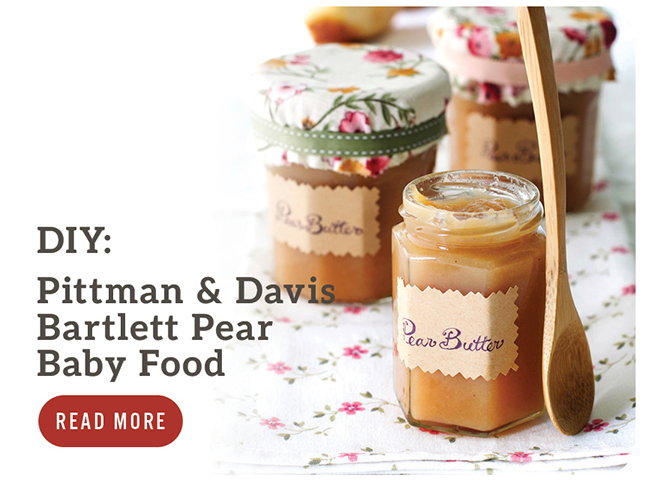 Pittman & Davis Bartlett Pear Baby Food