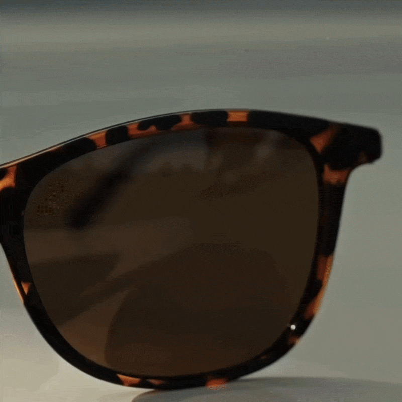 30% Off Sunglasses