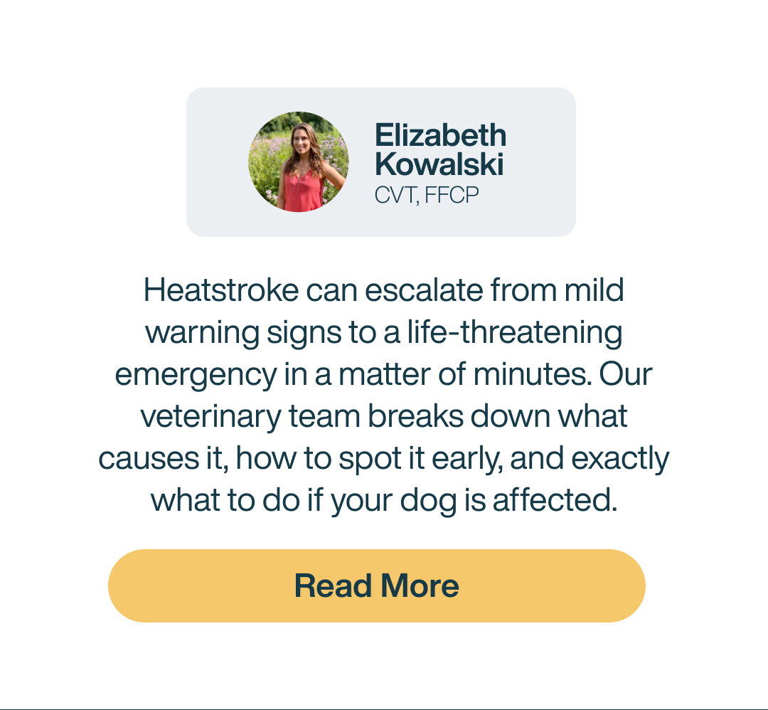 Read more