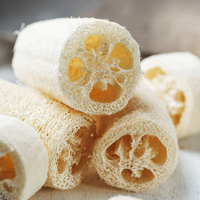 Loofah (Grow Your Own Sponge) Seeds