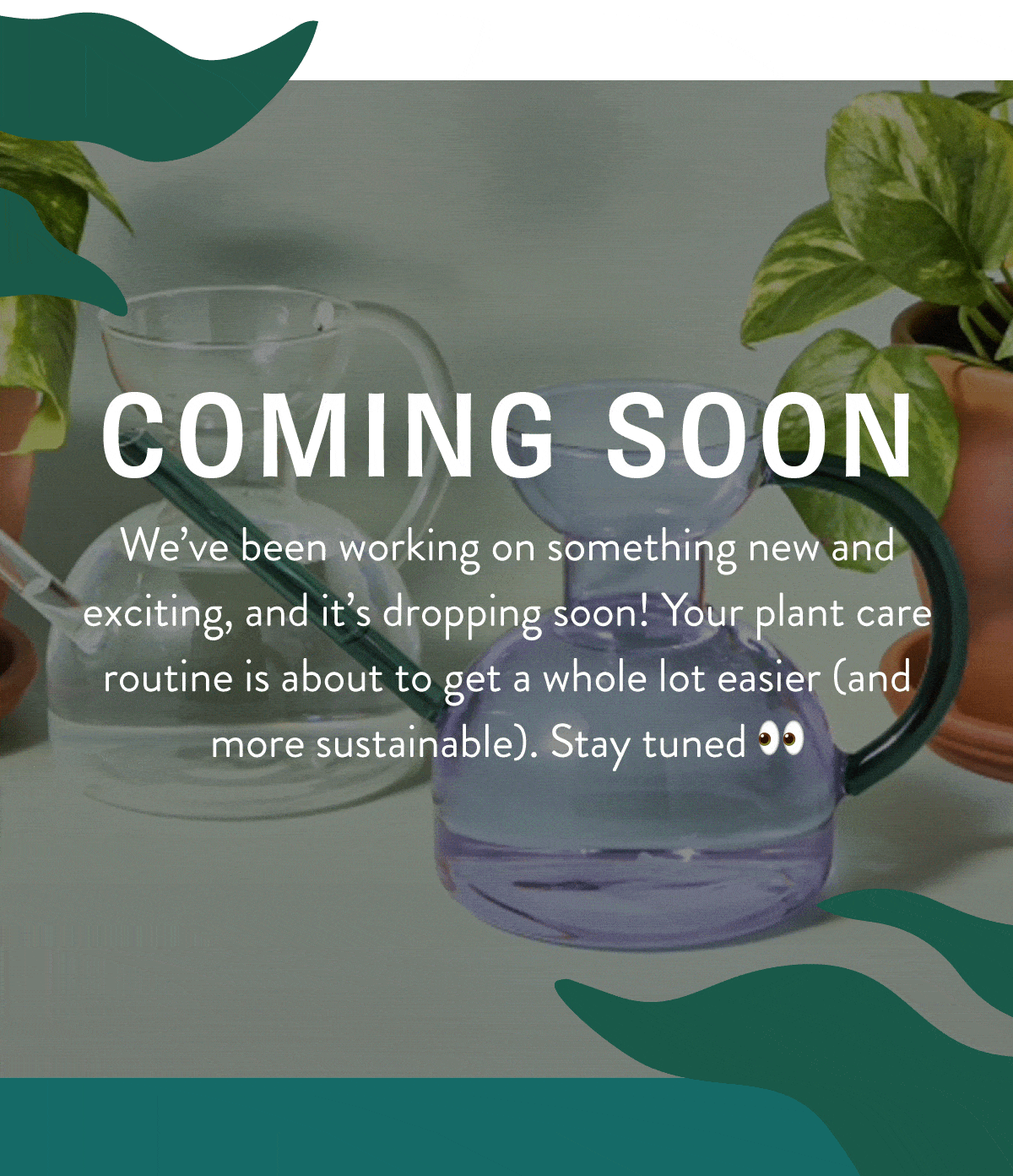 COMING SOON: We’ve been working on something new and exciting, and it’s dropping soon! Your plant care routine is about to get a whole lot easier (and more sustainable). Stay tuned 👀