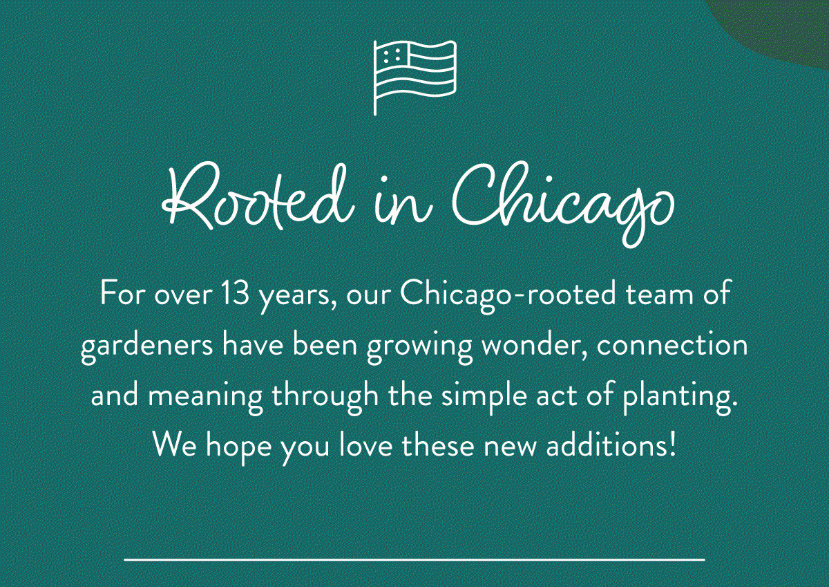 Rooted in Chicago: For over 13 years, our Chicago-rooted team of gardeners have been growing wonder, connection and meaning through the simple act of planting. We hope you love these new additions!