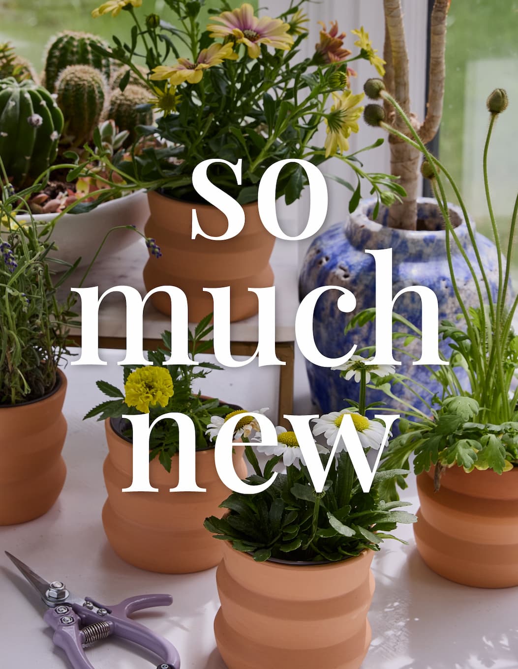 So Much New: Our new fall 2026 collection has just hit the site and it’s full of new ways to grow and engage with nature. Shop the drop now!