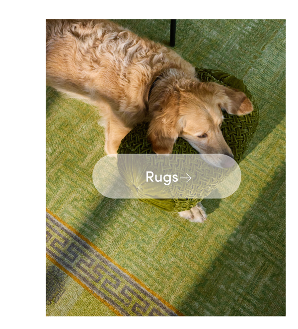 Shop Rugs on Sale