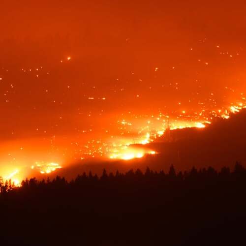 Senators Call for Crackdown on Prediction Markets Allowing Wildfire Bets