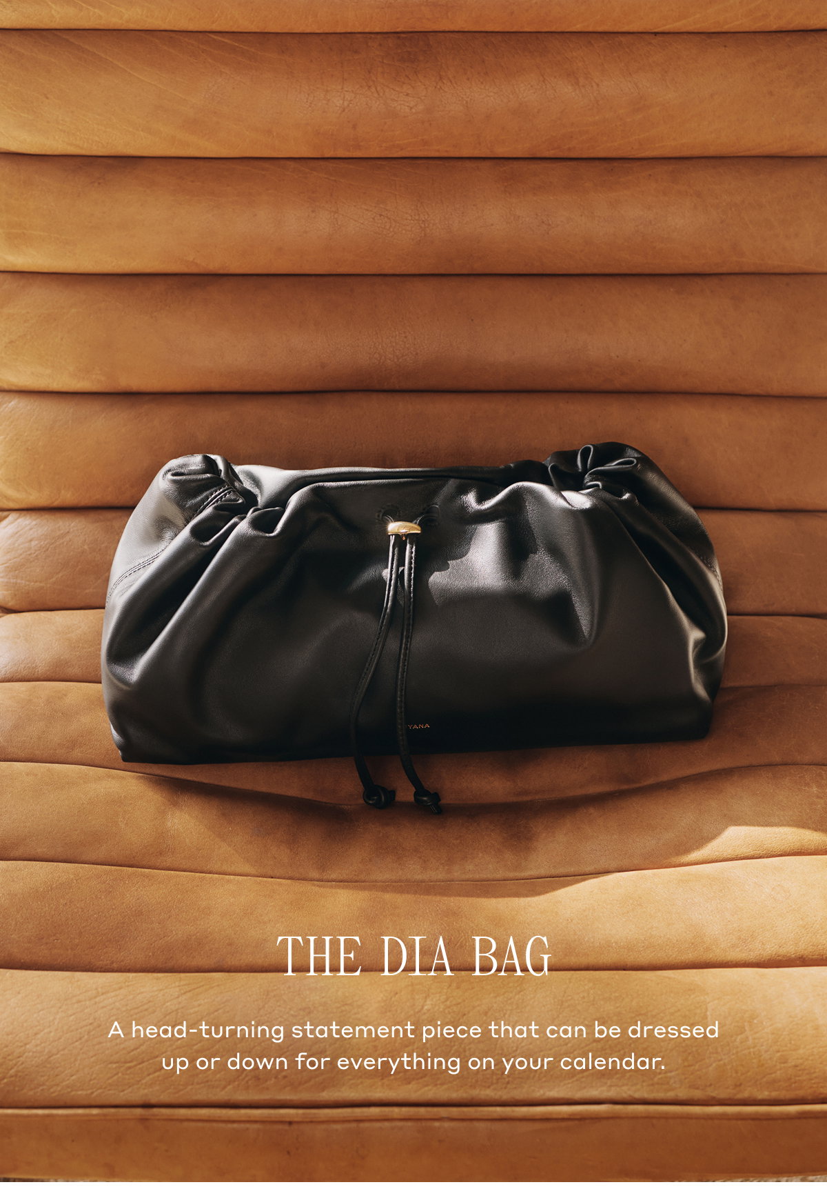 THE DIA BAG A head-turning statement piece that can be dressed up or down for everything on your calendar.