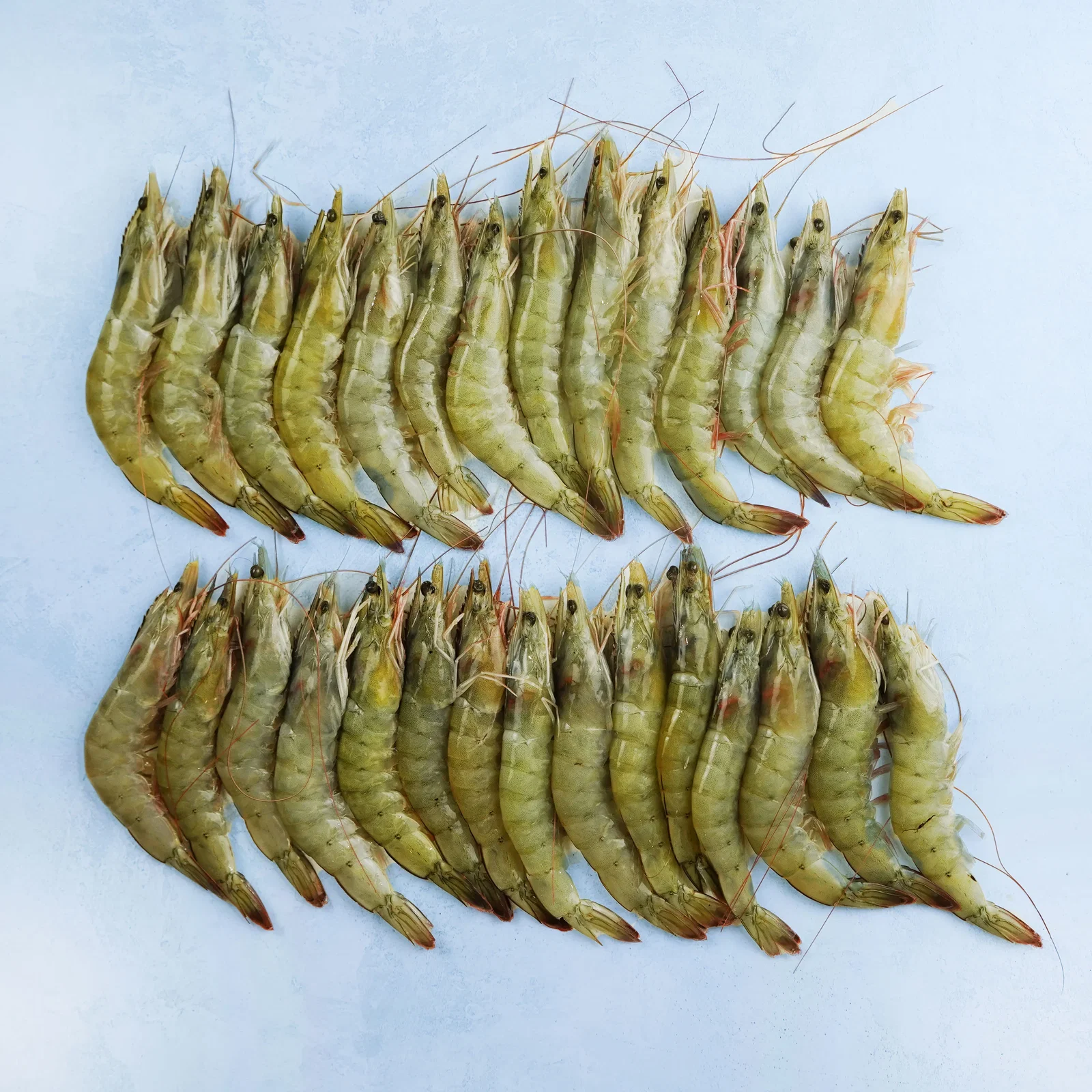 Image of Whole Raw XL King Prawns