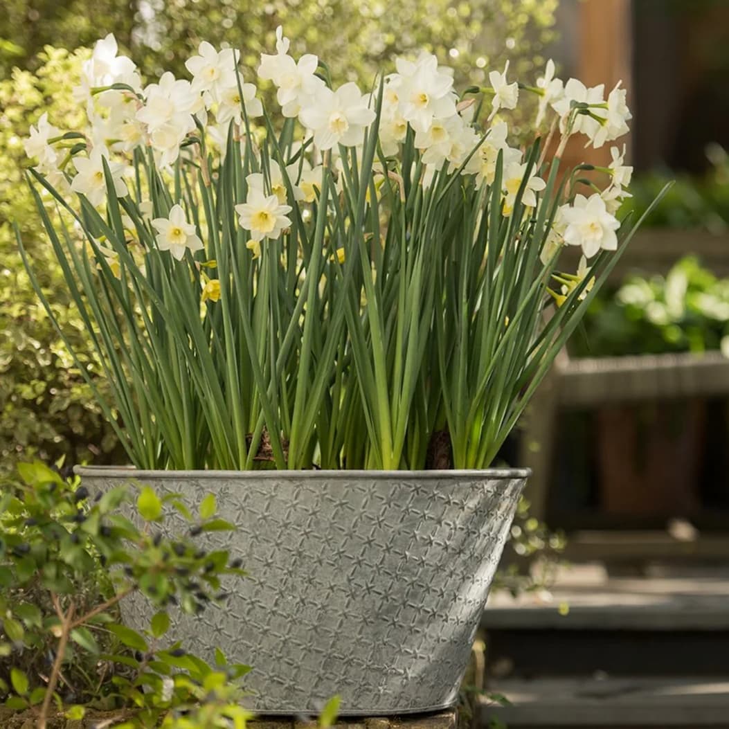 outdoor living