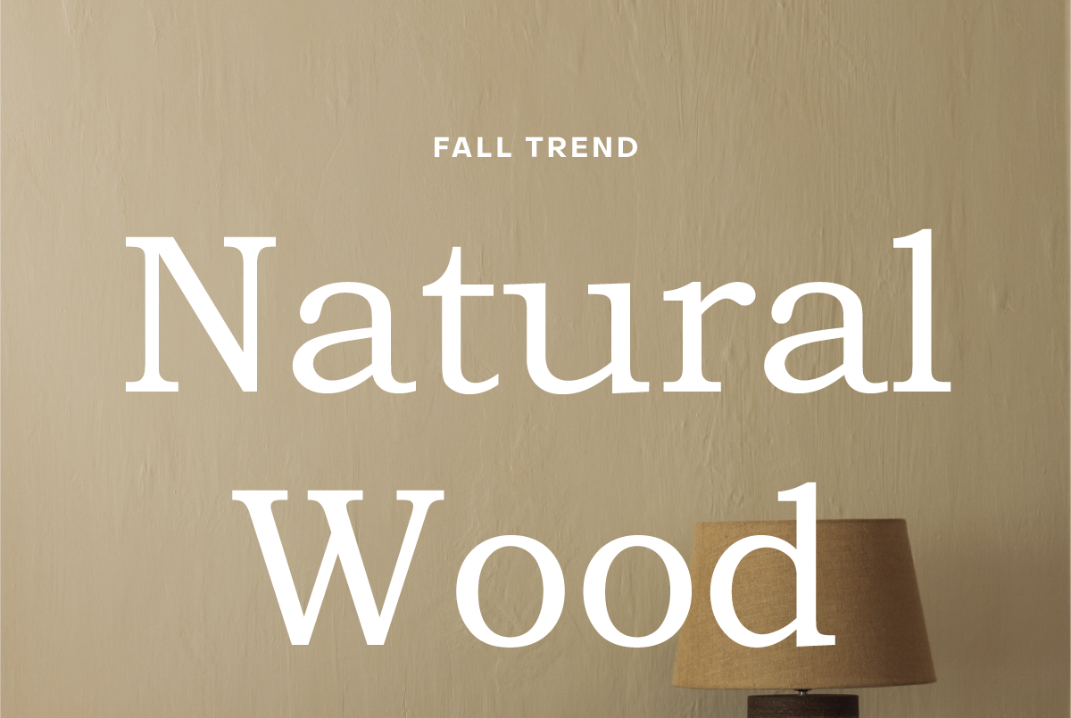 Discover Fall Trends