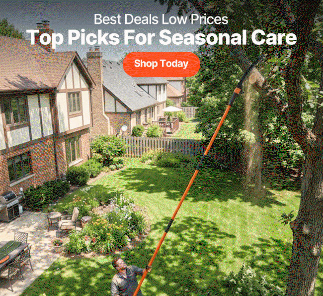 Top Picks For Seasonal Care