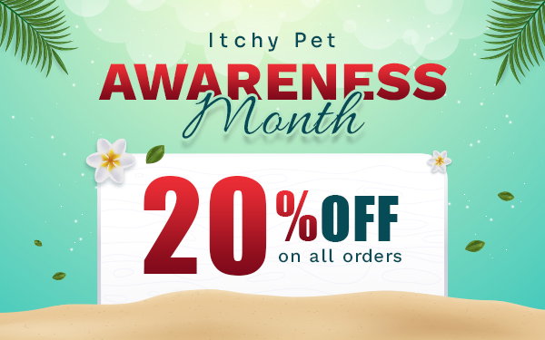 20% off Summer Sale