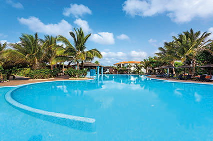 melia tortuga