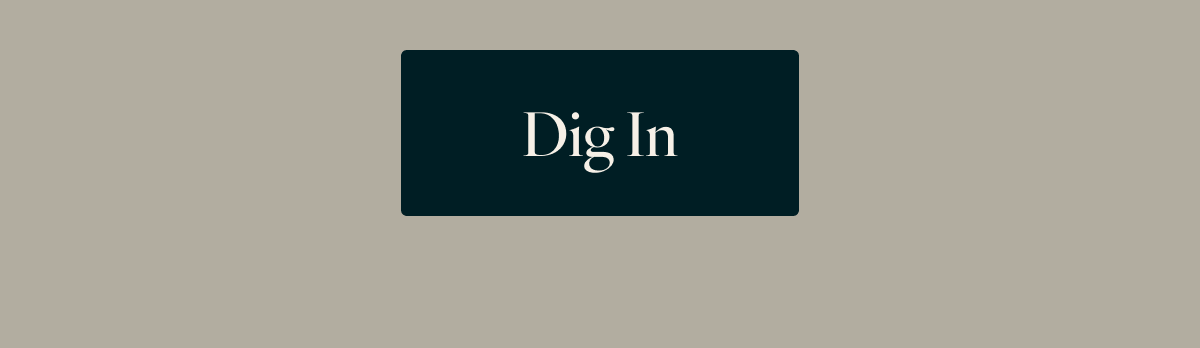 Dig In