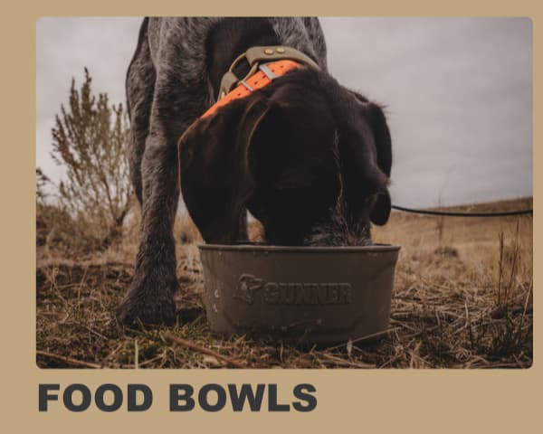Food Bowls