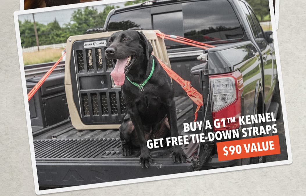 Buy a G1™ Kennel → Get a Free Tie-down Straps