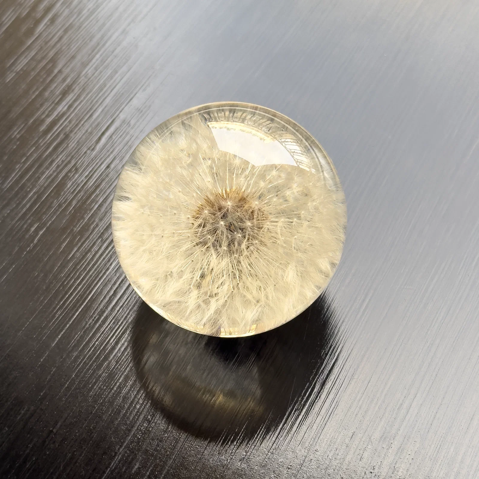 Image of Dandelion Paperweight