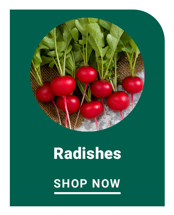 Radishes