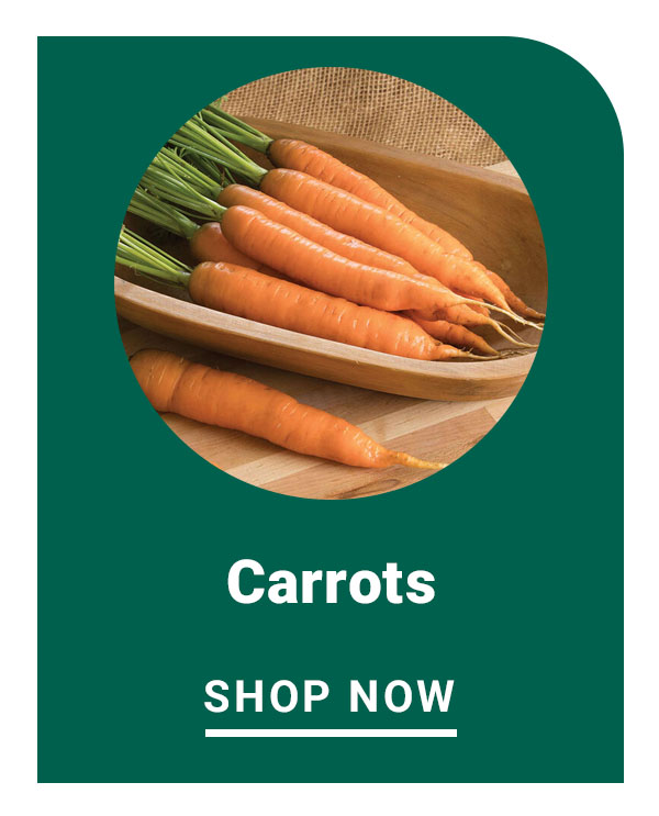 Carrots