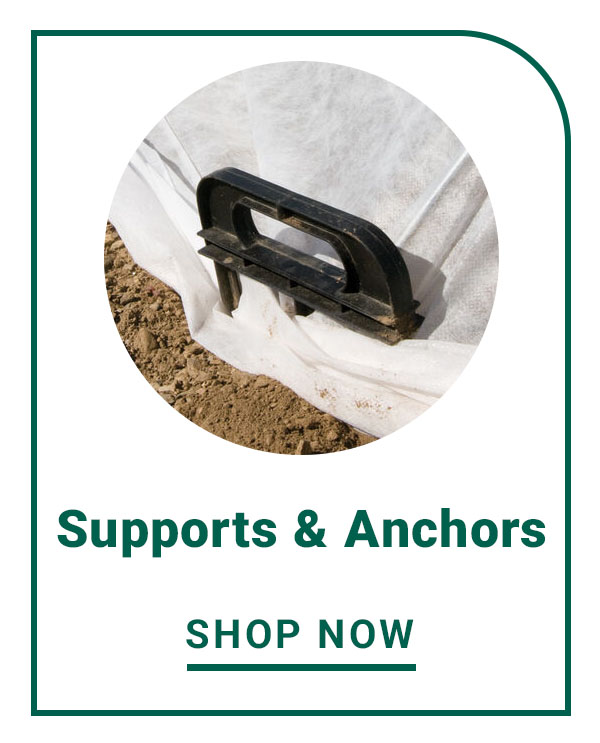 Supports & Anchors
