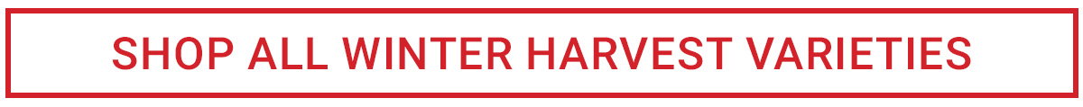 SHOP ALL WINTER HARVEST VARIETIES
