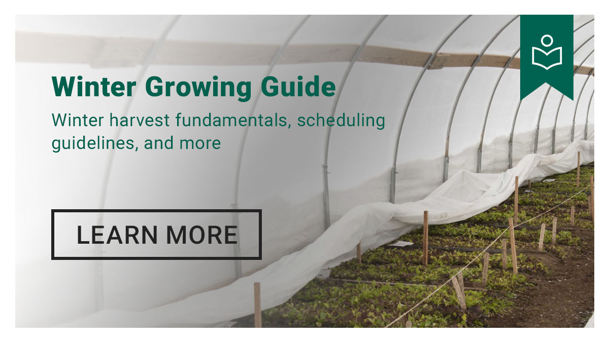 Winter Growing Guide