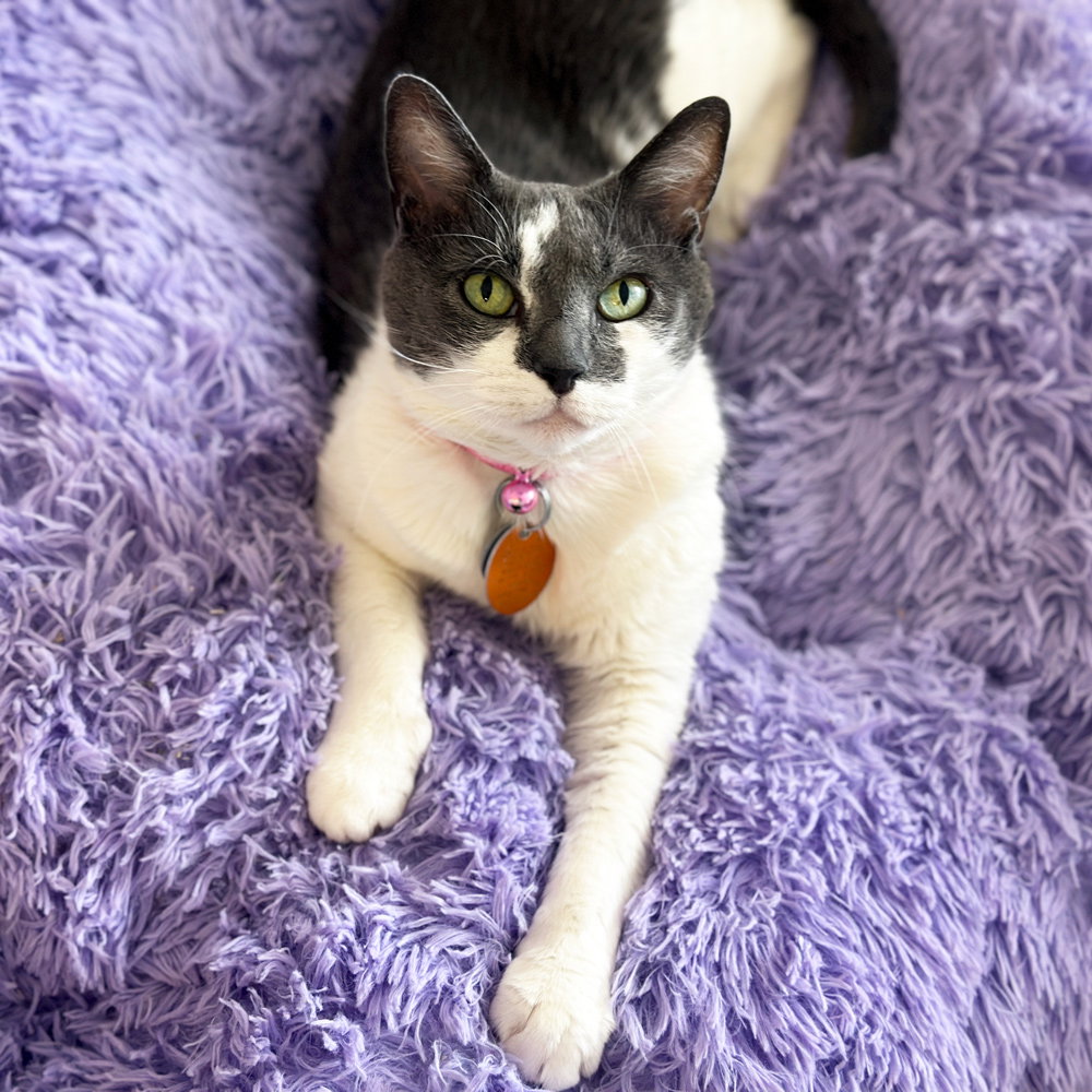 Meet Crochet